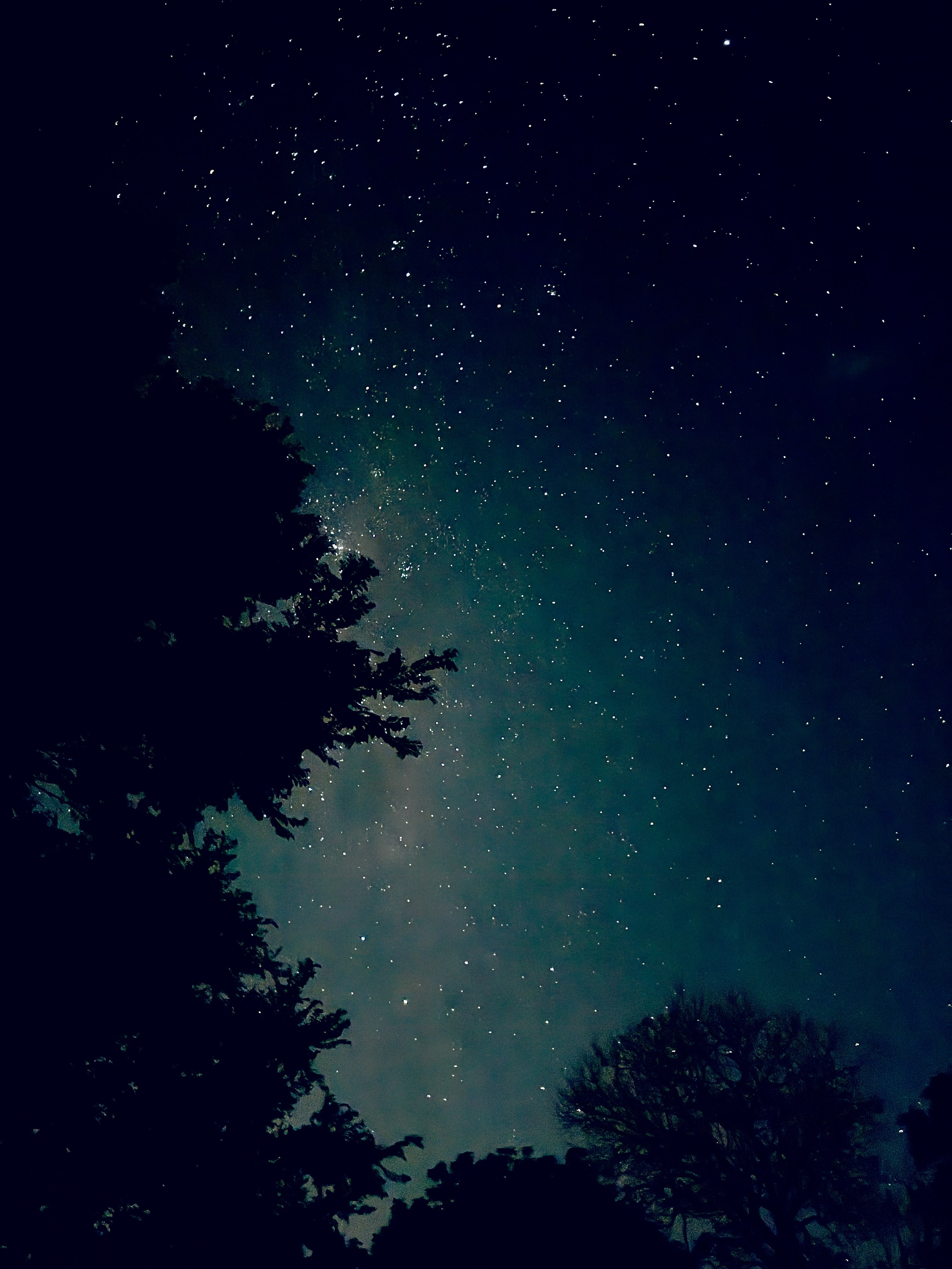 Following Jesus Daily — What Does Obedience Look Like? - Study 2-4